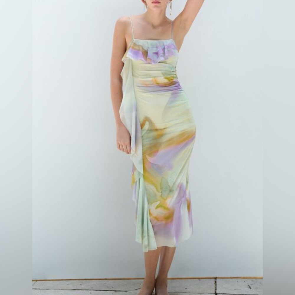 Zara Ruffled Printed Tulle Dress